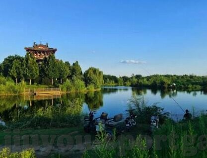 怎么下足球比分-揭秘足球比分预测，从入门到进阶的全面指南